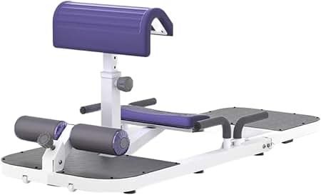 Amazon.com: Wonder Core Sway N Fit - Hip Thrust Machine, Ab